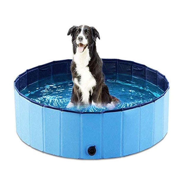 Your Dog’s Personal Backyard Beach — Unfold, Fill, and Splash!