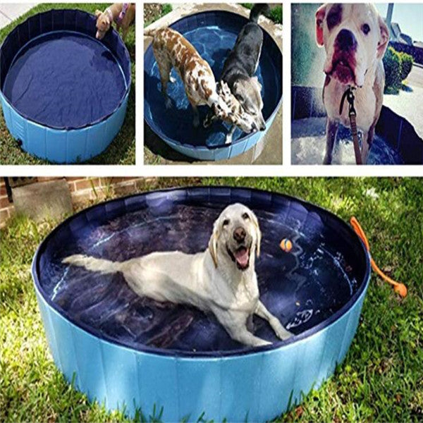 Your Dog’s Personal Backyard Beach — Unfold, Fill, and Splash!