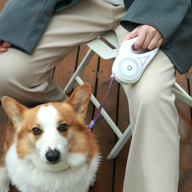 Safe-Stride Spotlight: The All-in-One Retractable Leash & Collar Set for Secure Night Walks.