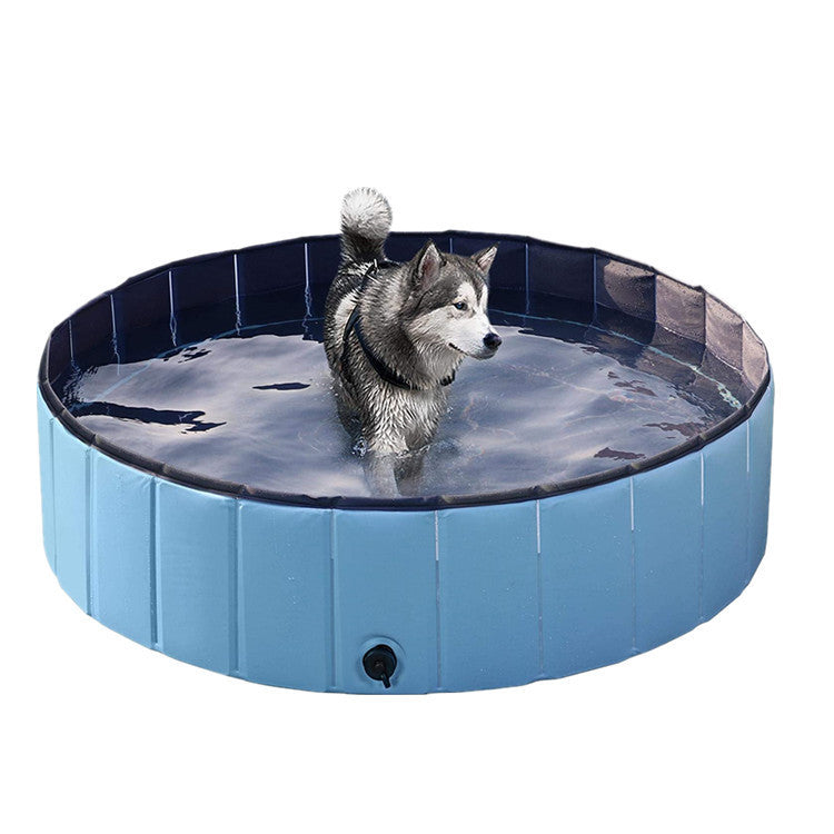 Your Dog’s Personal Backyard Beach — Unfold, Fill, and Splash!