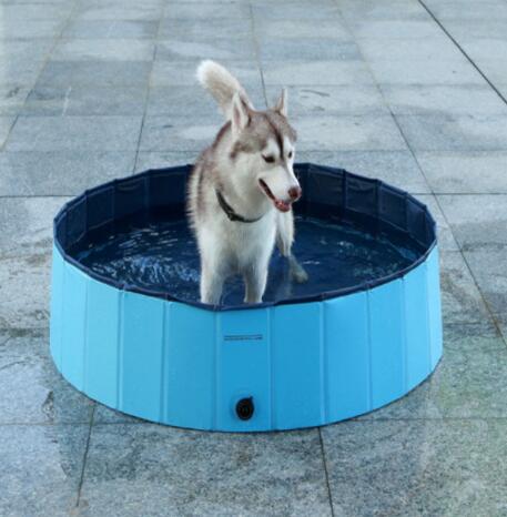 Your Dog’s Personal Backyard Beach — Unfold, Fill, and Splash!