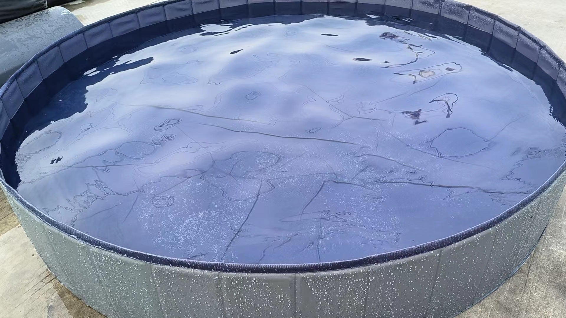 Your Dog’s Personal Backyard Beach — Unfold, Fill, and Splash!